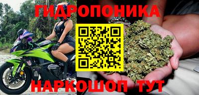 гашик Янаул