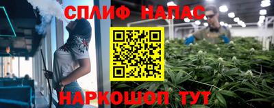 гашик Янаул