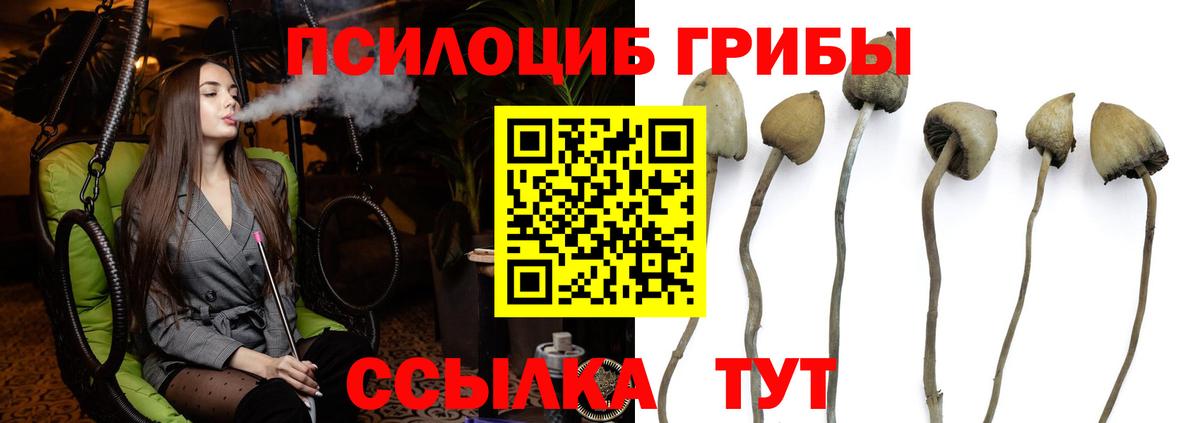 Псилоцибиновые грибы Cubensis Лянтор